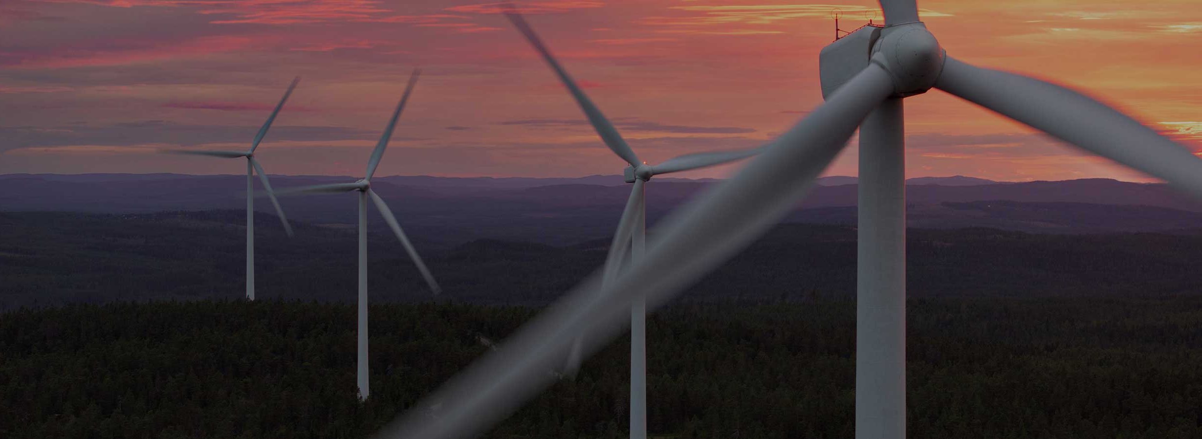 Positionspapier: EU Grids Package und Environmental Omnibus