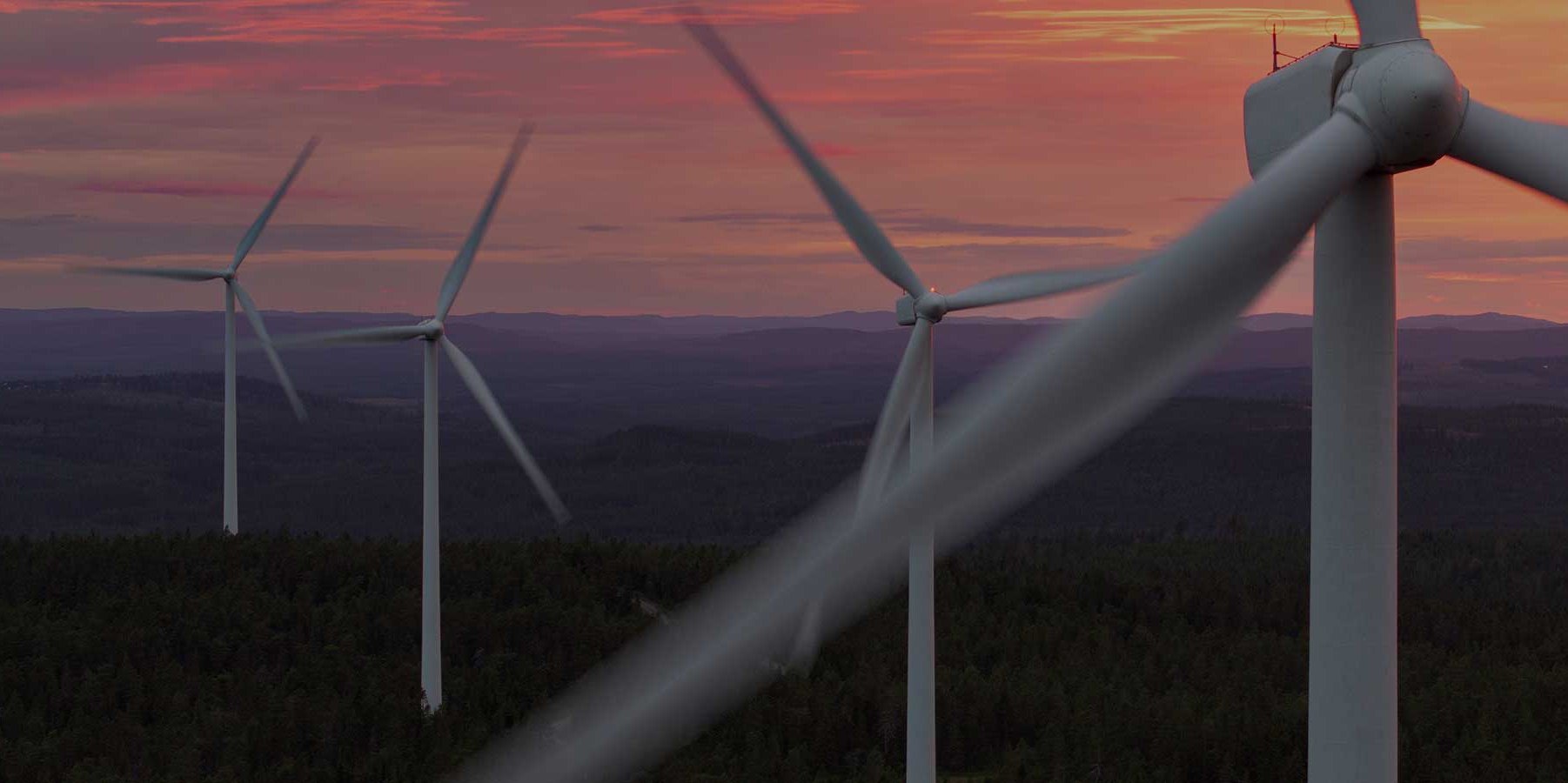 Positionspapier: EU Grids Package und Environmental Omnibus